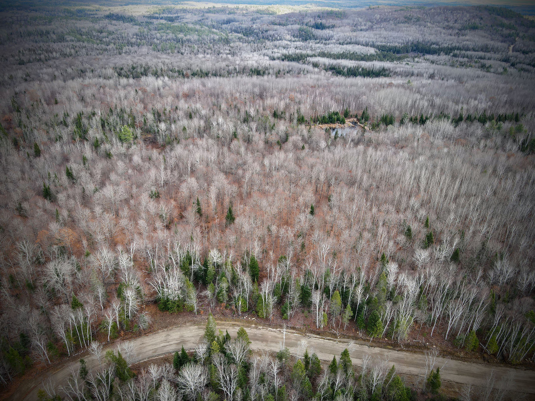dji fly 20241107 142238 860 1731007396454 photo-EDIT